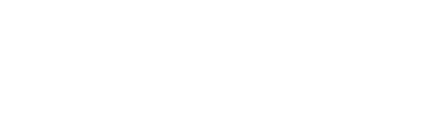 LEXUS OFFICIAL WEBSITE RENEWAL